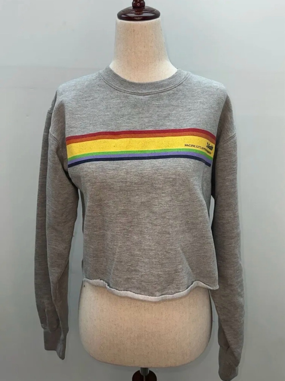 Brandy Melville John Galt Crop Sweatshirt Pacific City Rainbow One Size Beach